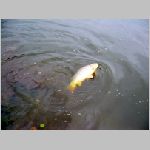 Popelov 17.9.2008 -28.JPG